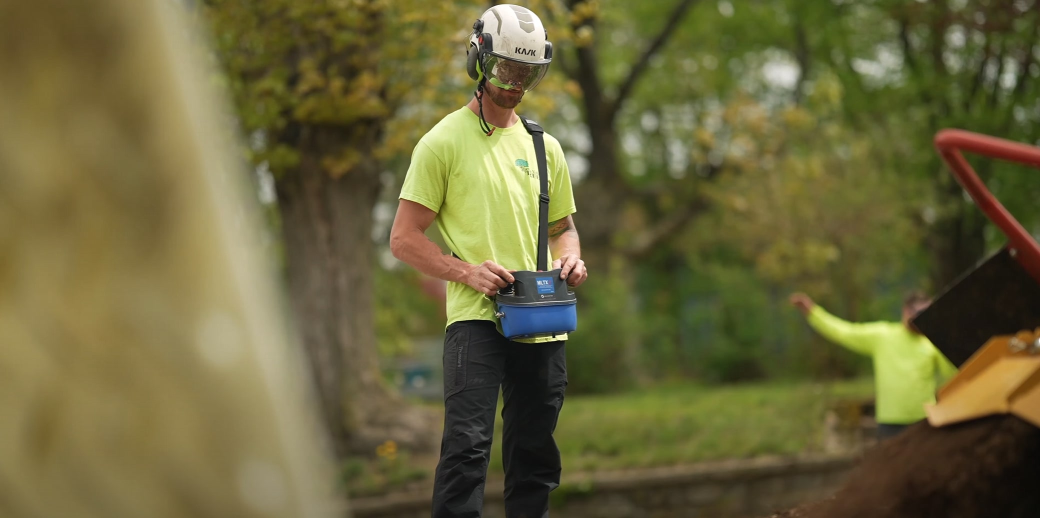 Cabling, Bracing & Structural Support service in Delano, CA