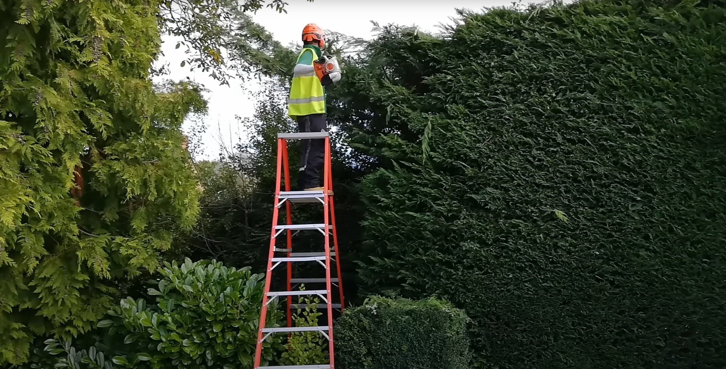 Full-service tree care for residential and commercial properties in Delano, CA