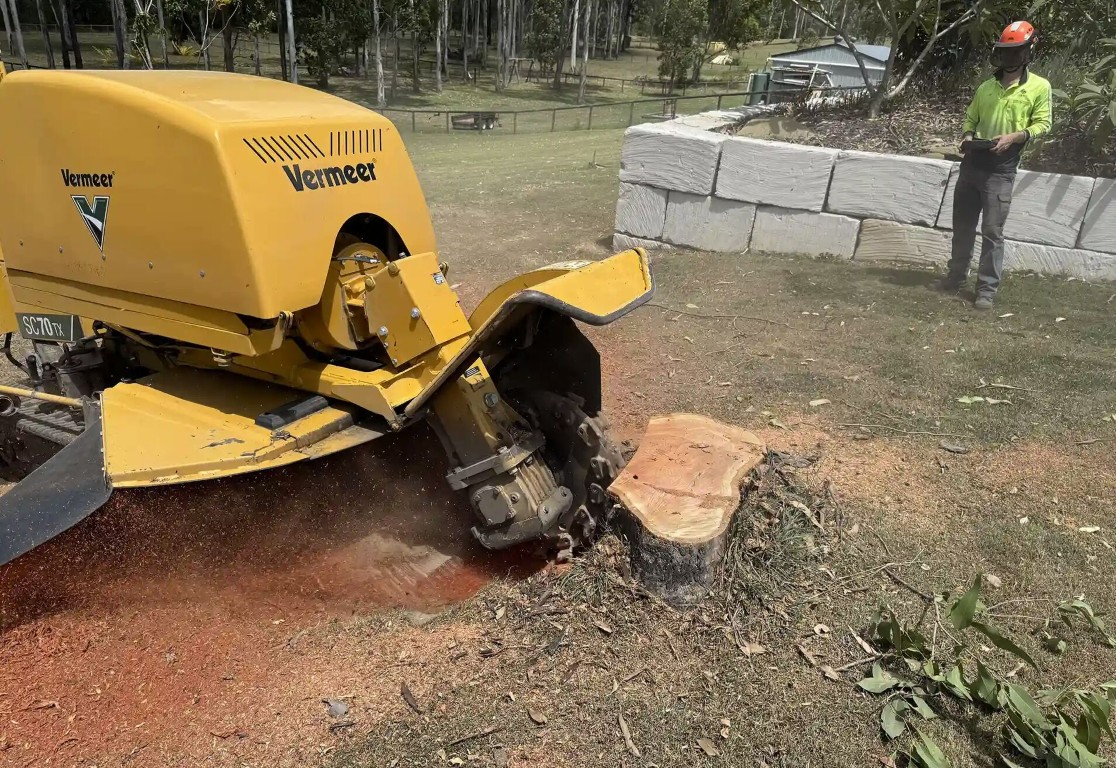 Stump grinding and tree removal equipment in Delano, CA